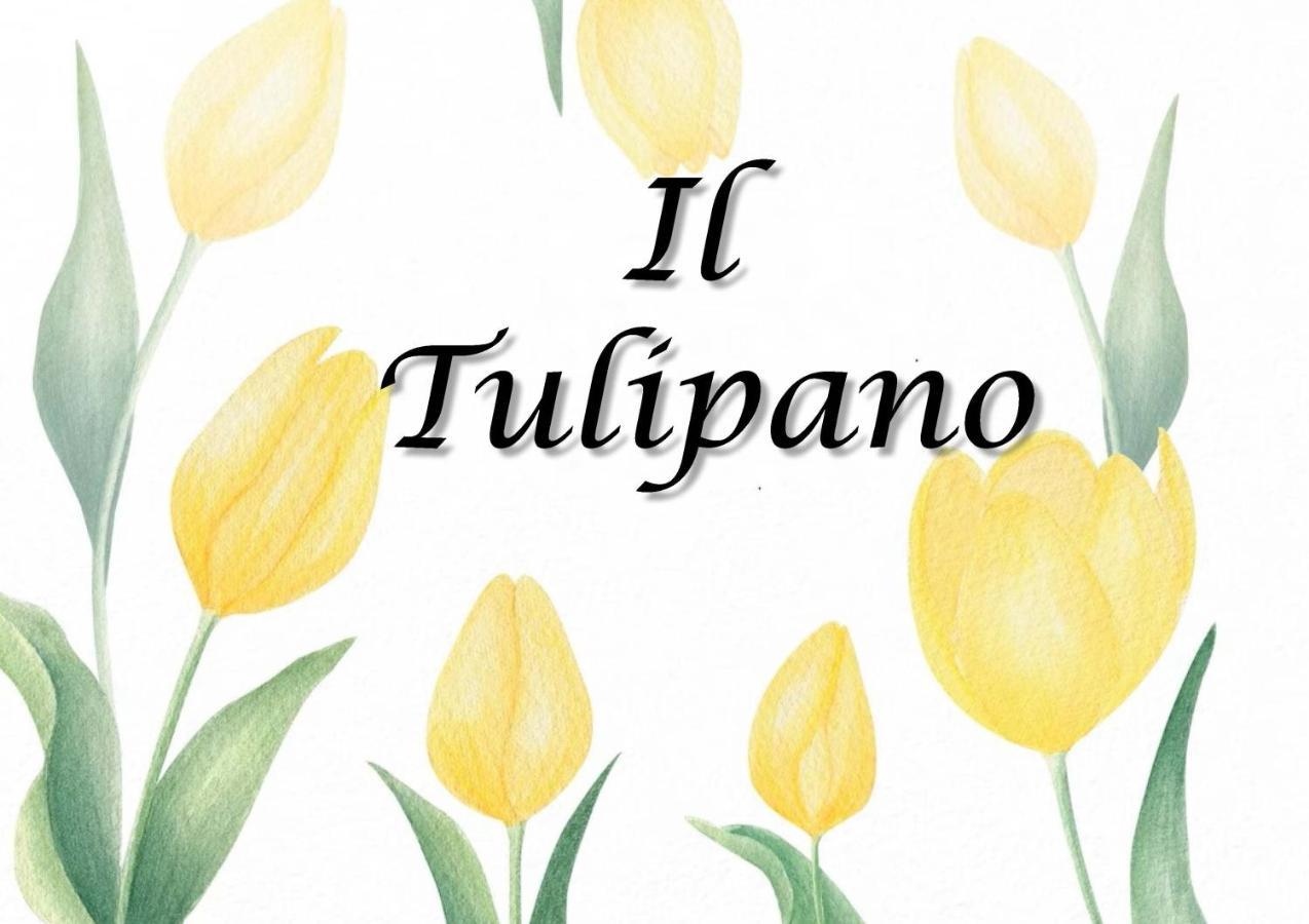 Апартаменти Il Tulipano Trezzano Rosa Екстер'єр фото